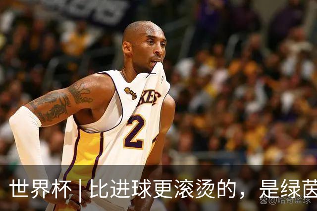 世界杯 | 比进球更滚烫的，是绿茵场上的爱
