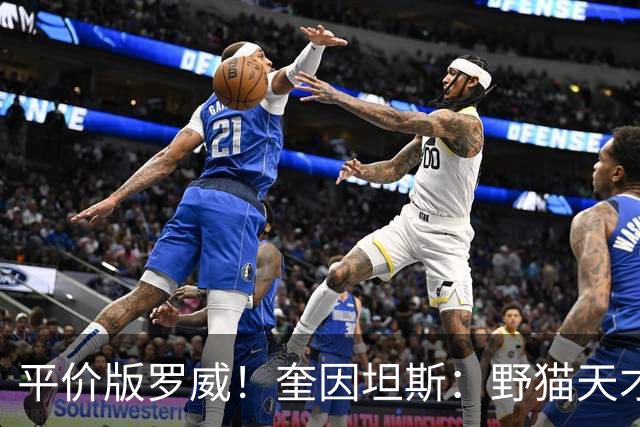 平价版罗威！奎因坦斯：野猫天才内线 存伤病隐患 罚球致敬米切罗