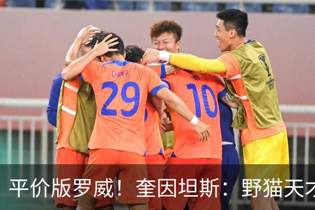 平价版罗威！奎因坦斯：野猫天才内线 存伤病隐患 罚球致敬米切罗