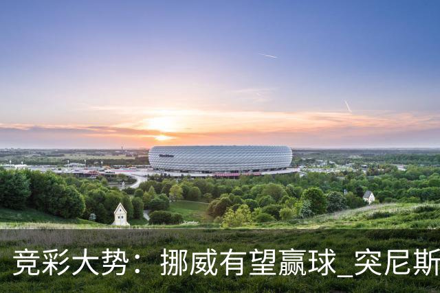 竞彩大势：挪威有望赢球 突尼斯难有作为