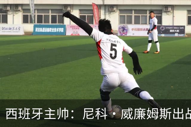 西班牙主帅：尼科·威廉姆斯出战存疑 皮诺或缺席剩余比赛