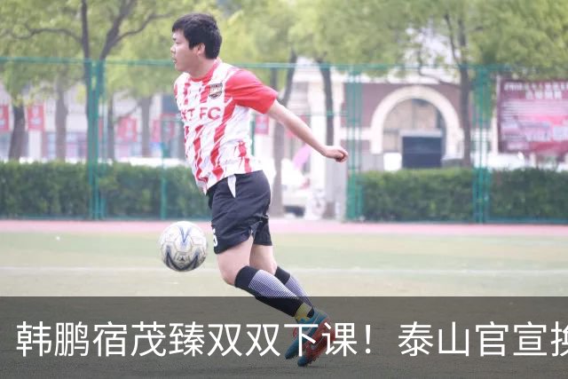 韩鹏宿茂臻双双下课！泰山官宣换帅，临时主帅是老熟人，韩鹏发声