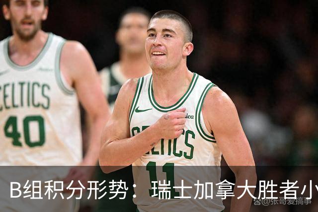B组积分形势：瑞士加拿大胜者小组第一 平局保携手出线