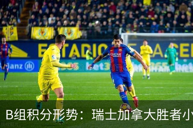 B组积分形势：瑞士加拿大胜者小组第一 平局保携手出线